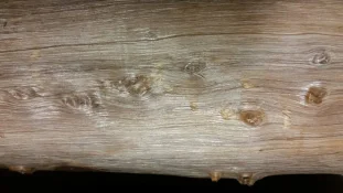 20150715_001510.webp