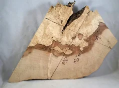 Crosscut Spalted Maple 90915.webp