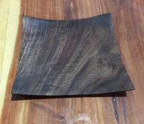 square plate1.webp