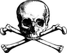 skullbones.webp