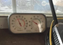 temp.webp