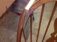 image.webp