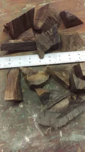 live oak chips.webp