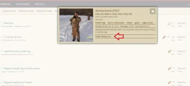duck1.webp