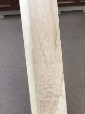 curly quilted birch.webp