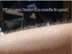 same.jpg