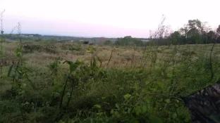 20160514_055834.webp