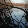 N & N Waterfowl