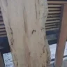 Jamnsam92