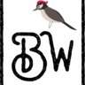 Bearded_woodpecker_design