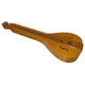 Luthier